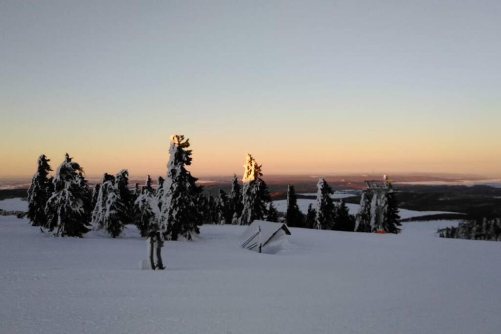 Bergblick - *