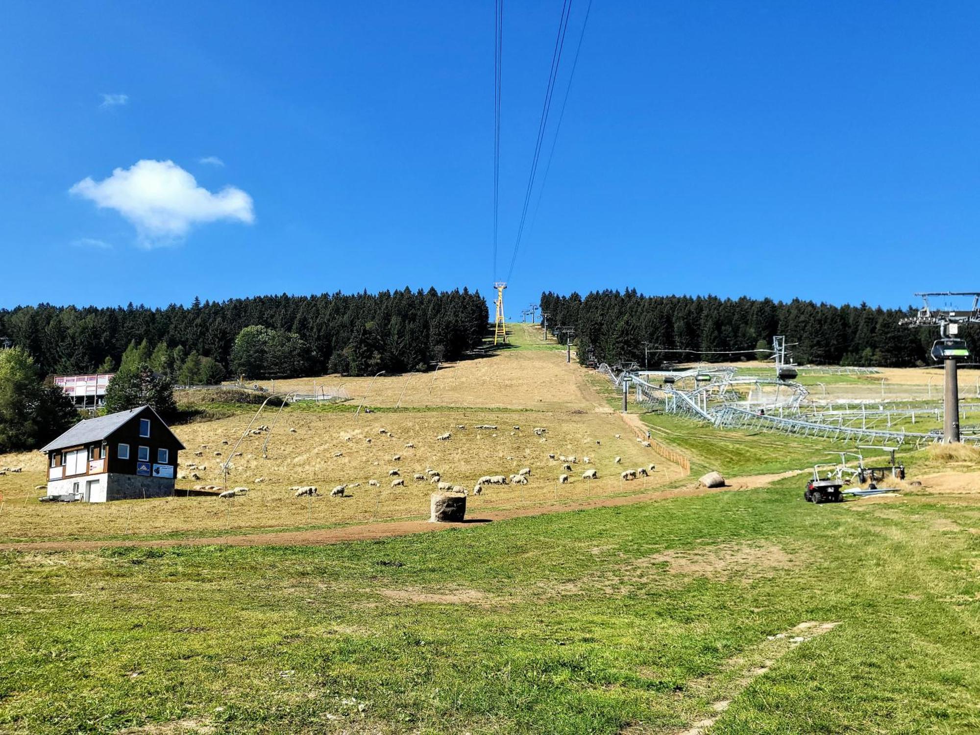 Apartment Bergblick - Oberwiesenthal