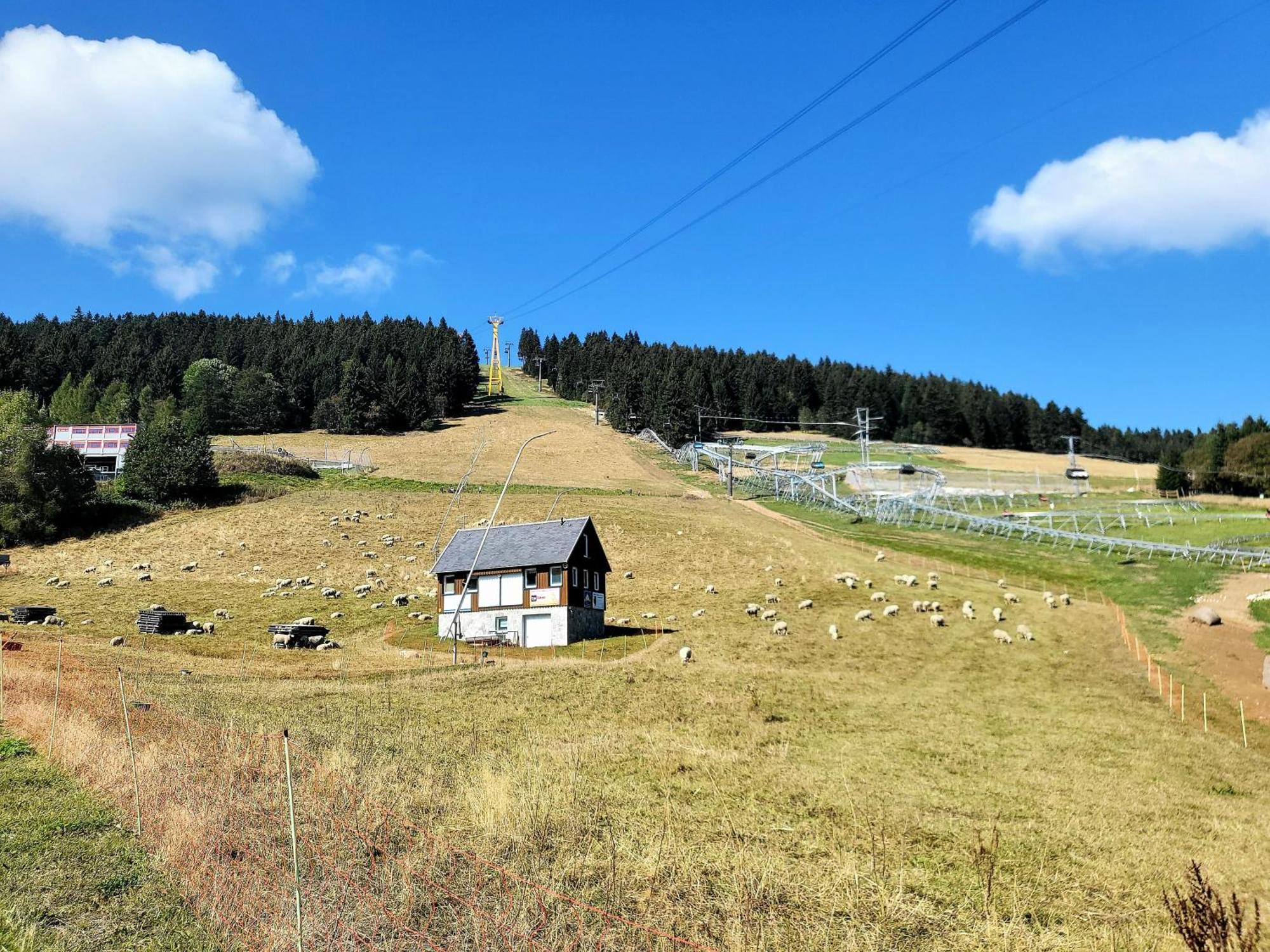 Apartment Bergblick - Oberwiesenthal